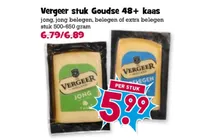 goudse 48 kaas