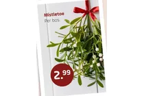 mistletoe