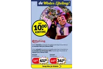 efteling entreeticket exclusief kerstvakantie