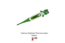 digitale thermometer