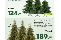 everlands grandis pre lit kunstkerstboom
