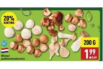 winter paddenstoelenmix