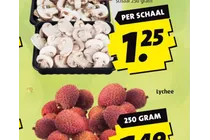 champignons