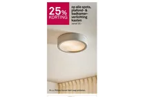 plafondlamp