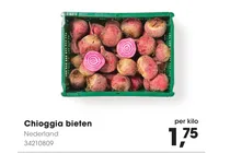 chioggia bieten
