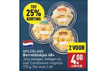 borrelblokjes 48