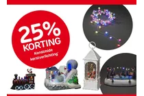 lichtsnoer met stervormige lampjes