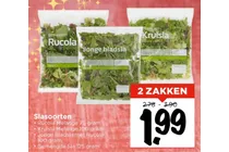 jonge bladsla met rucola