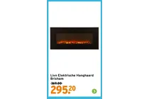 elektrische hanghaard