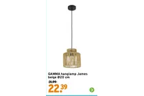 hanglamp james