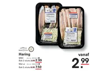 hand schoongemaakte hollandse maatjesharing met ui