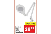 led loeplamp