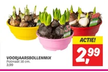 voorjaarsbollenmix