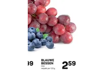 blauwe bessen