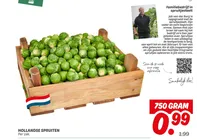 hollandse spruitjes