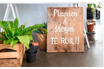 planten en stekjes