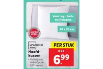hoofdkussen