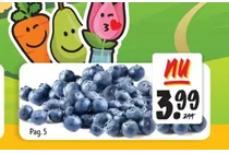 blauwe bessen
