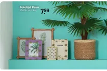 fotolijst palm