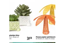 plantjes nice