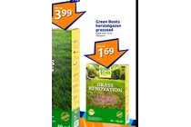 herstelgazon graszaad
