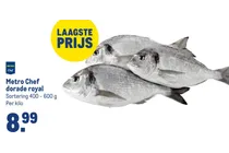 dorade royal