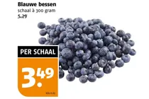 blauwe bessen