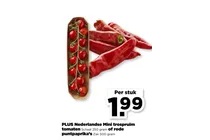 nederlandse mini trospruim tomaten