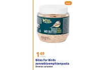 zonnebloempittenpasta