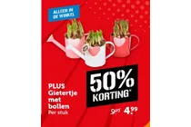 gietertje met bollen