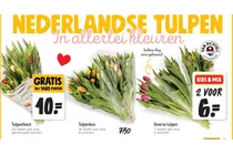 tulpenbos