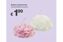 kaars pioenroos
