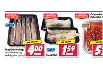 maatjes haring