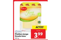 plakken jonge gouda kaas