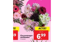 chrysantenger miniboeket
