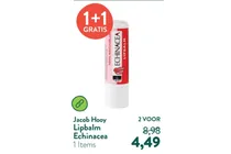 lipbalm echinacea