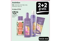 coco curl creation shampoo