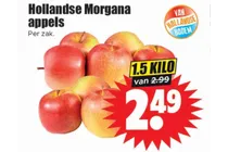 hollandse morgana appels