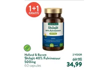 shilajit 40 fulvinezuur
