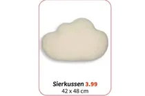 sierkussen
