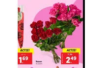 rozen