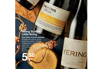 shiraz