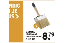 gamma blokkwast voor muurverf