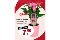 calla
