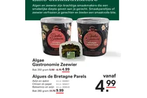 algae gastronomie zeewier