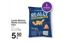 really crunchy fries