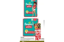 pampers baby dry pants junior