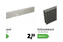 palissadeband