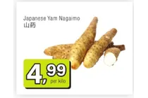 japanse yam nagaimo