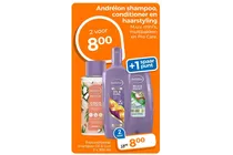 andrelon shampoo oil curl